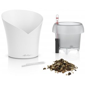 Кашпо Орхидея