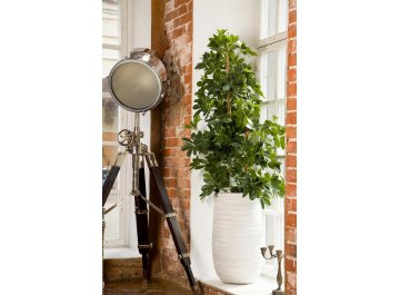 Кашпо Роу Высокое D36.5 H61 ROWEV36-AW