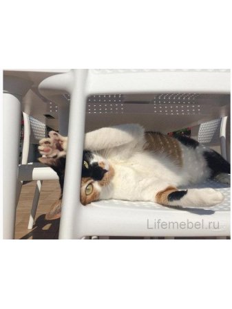 Пластиковый стул Bora белый