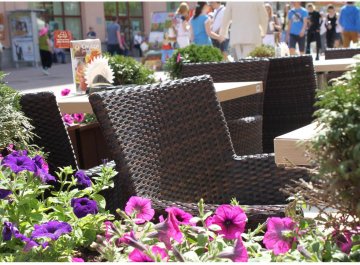 Кресло с подушкой GS 909