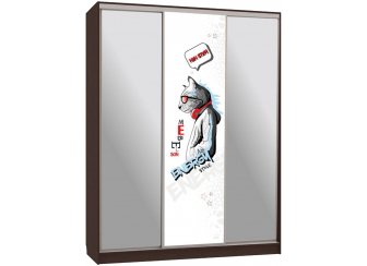 Шкаф-купе Бассо 9-600