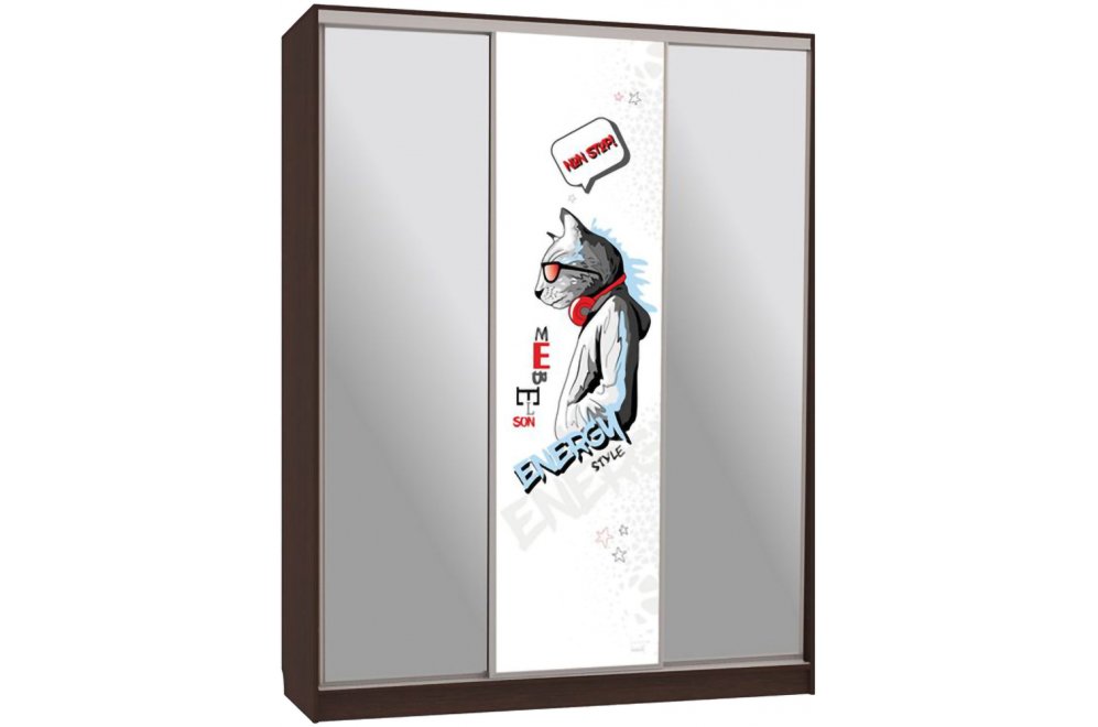 Шкаф-купе Бассо 9-600 энерджи венге