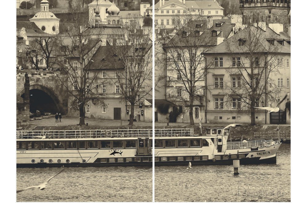 Шкаф-купе Леон-2 1200 Прага дуб бонифаций