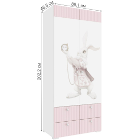 Шкаф Ариана 22