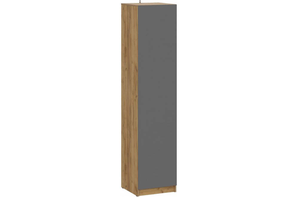 Шкаф Авиньон дуб крафт золотой / графит серый