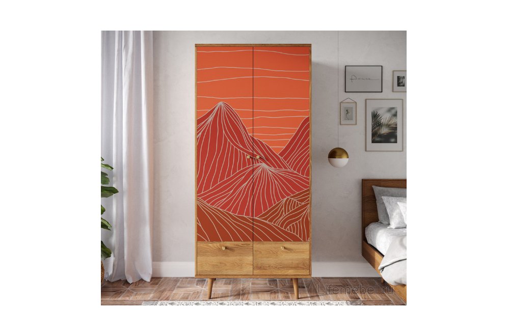 Шкаф Бербер (Berber) BB16/Print_49 разноцветный