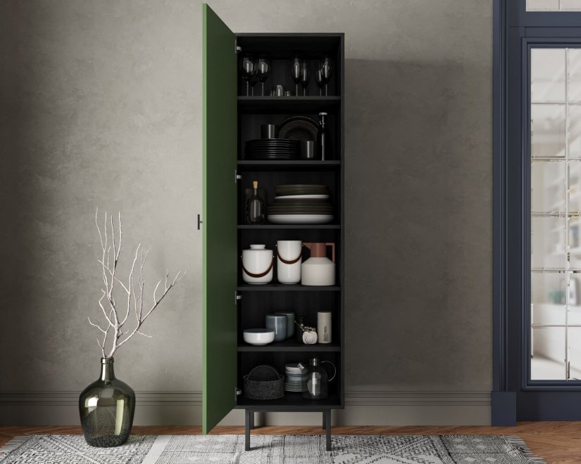 Шкаф Эмерсон (Emerson) EM101/green/L черный