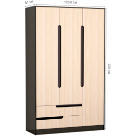 Шкаф Гавана