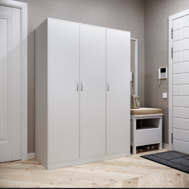 Шкаф Орион 3