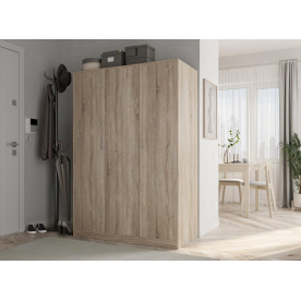 Шкаф Орион 3