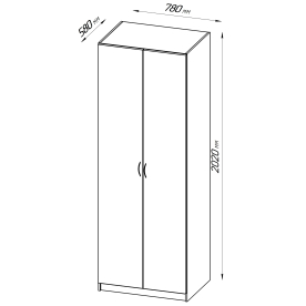 Шкаф Пегас 2