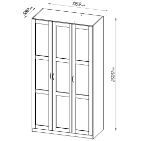 Шкаф Пегас 3