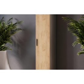 Шкаф Виктория ВИ-7