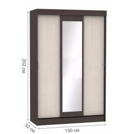 Шкаф-купе Бася