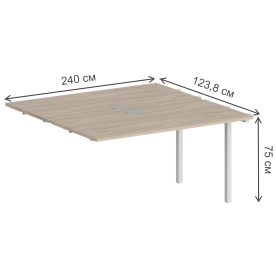 Приставка для письменного стола SG.211