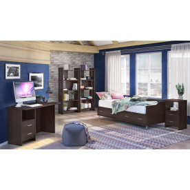 Письменный стол СКЛ-Прям100Р