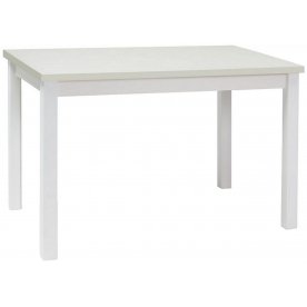 Деревянный стол Adam 100