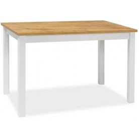 Деревянный стол Adam 100