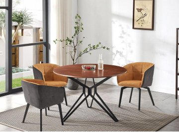 Деревянный стол DT-62 120