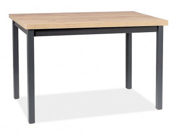 Деревянный стол Adam 100 100/60/75