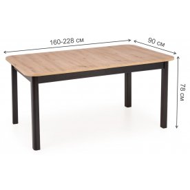 Деревянный стол Florian 160-228/90/78