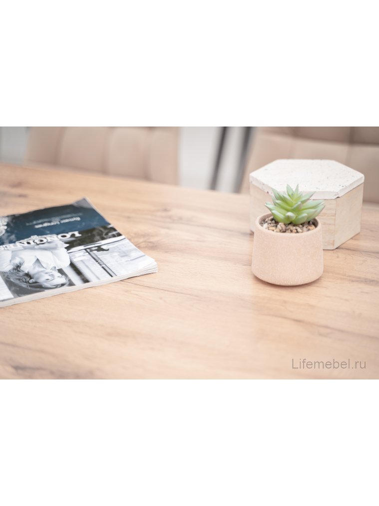 Стол Тринити Лофт 120 25 мм белый матовый / дуб делано светлый