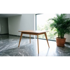 Обеденная группа Сканди Франк 120