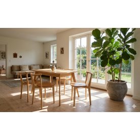 Обеденная группа Сканди Франк 120