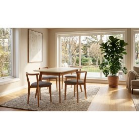 Обеденная группа Сканди Франк 120