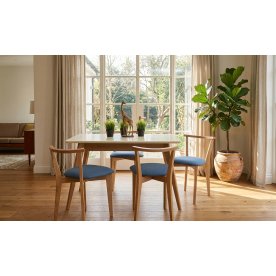 Обеденная группа Сканди Франк 120