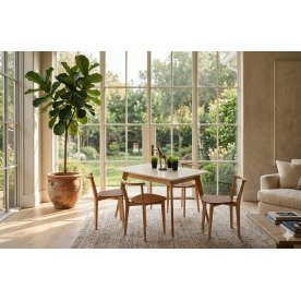 Обеденная группа Сканди Франк 120