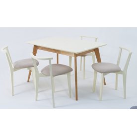 Обеденная группа Сканди Франк 120