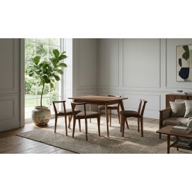 Обеденная группа Сканди Франк 120