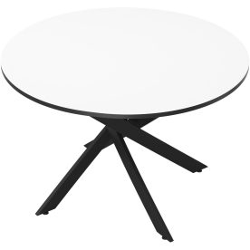 Стеклянный стол DikLine Rs90