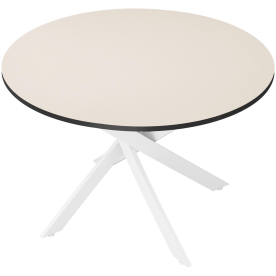 Стеклянный стол DikLine Rs90