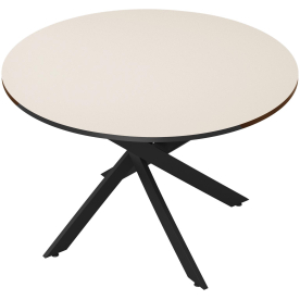 Стеклянный стол DikLine Rs90