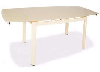 Стеклянный стол DT6236B