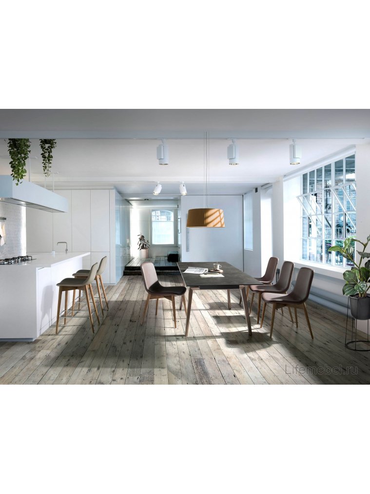 Полубарный стул CS788-TAB/4044 бежевый / орех