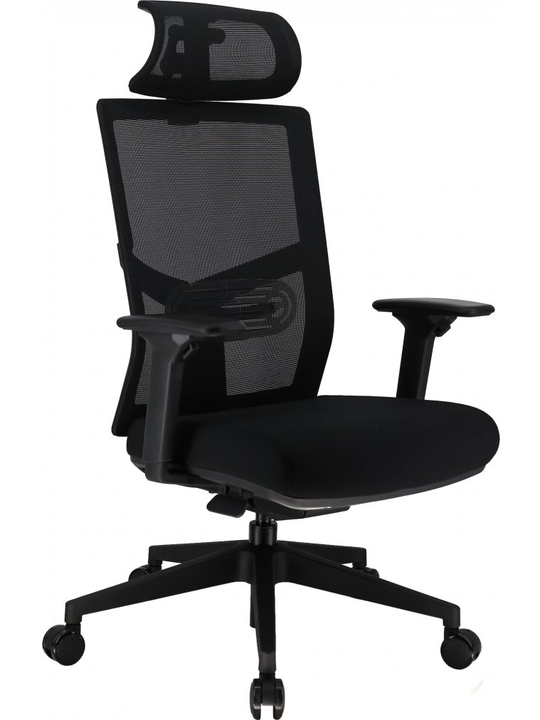 Эргономичное кресло Everprof Fuji сетка черный
