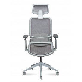 Компьютерное кресло Alpina