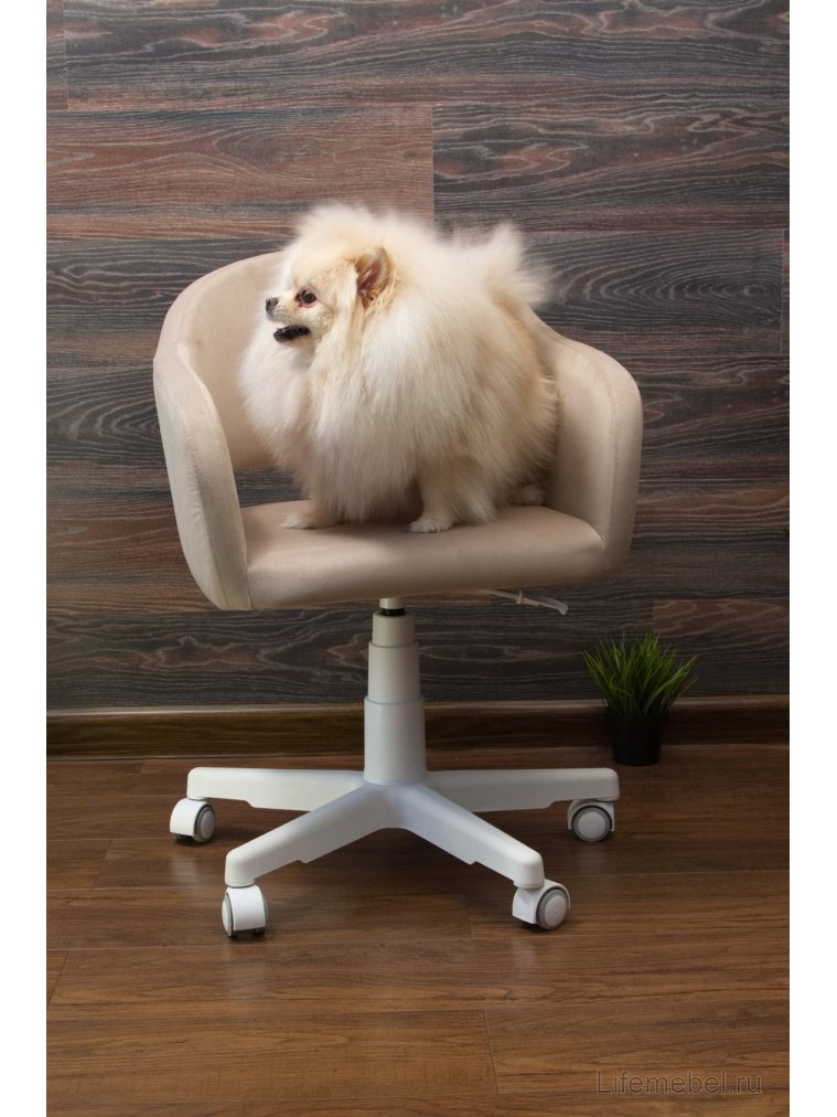 Компьютерное кресло Бабби белый / бежевый