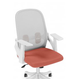 Компьютерное кресло Bust