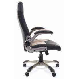 Компьютерное кресло Chairman 439