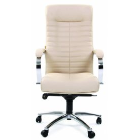 Компьютерное кресло Chairman 480