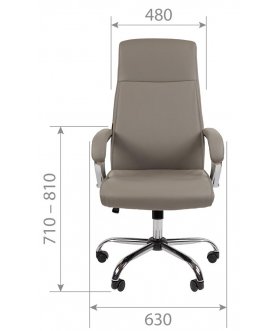 Компьютерное кресло Chairman CH425