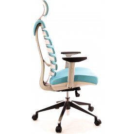 Компьютерное кресло Ergo