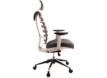 Компьютерное кресло Ergo