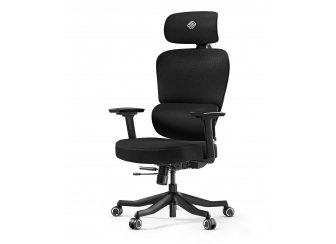 Компьютерное кресло Eureka Axion