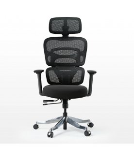 Компьютерное кресло Eureka Axion