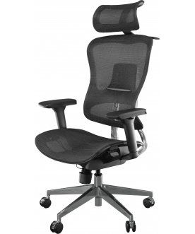 Компьютерное кресло Expert Ergo Fly